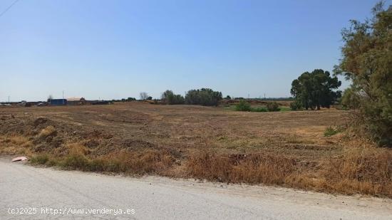 Finca rústica de 2,5 hectáreas a la venta en Guillena - Sevilla - SEVILLA