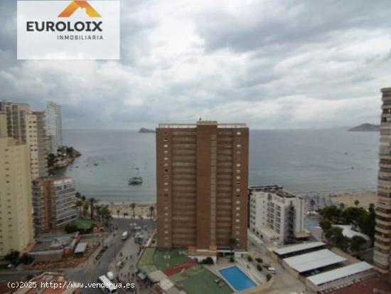 Exclusivo y moderno apartamento en Rincon de Loix , Benidorm.www.euroloix.com - ALICANTE