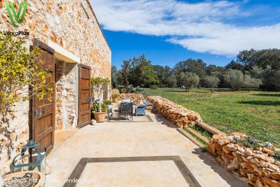 ES RACO - MARAVILLOSA FINCA CON PROYECTO AGRARIO EN SENCELLES - BALEARES