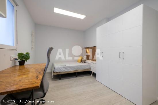 COLIVING PARA ESTUDIANTES - DISPONIBLE PARA CURSO 2024-2025 Y 2025-2026. ¡RESERVA TU PLAZA YA! - VA