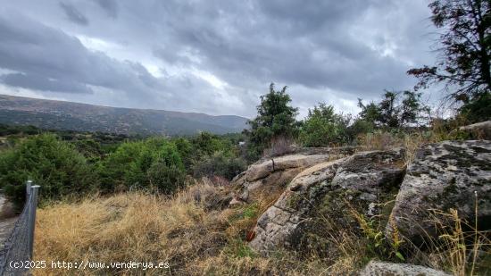 PARCELA EN SANTA CRUZ DE PINARES, (ÁVILA) 05268 - AVILA