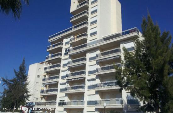  PLAZA DE GARAJE GUARDAMAR - ALICANTE 