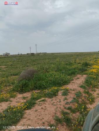 FINCA RUSTICA A 100 METROS DEL POLG. INDUSTRIAL ALCES - CIUDAD REAL