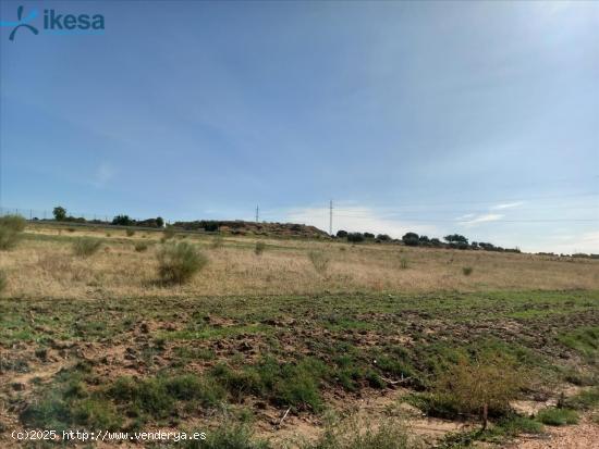 Venta de 13 Suelos Urbanizables Residenciales en Dehesa del Rey - Calamonte (Badajoz) - BADAJOZ