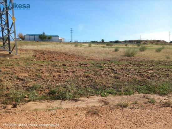 Venta de 13 Suelos Urbanizables Residenciales en Dehesa del Rey - Calamonte (Badajoz) - BADAJOZ