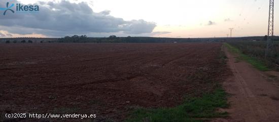  Venta de Finca Rústica en Paraje La Calera de los Barros - Badajoz - BADAJOZ 