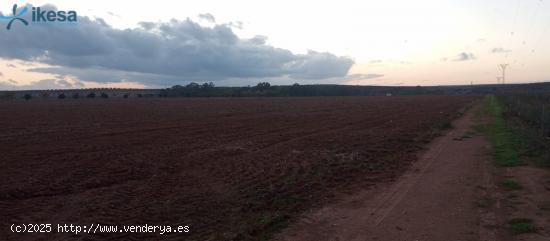 Venta de Finca Rústica en Paraje La Calera de los Barros - Badajoz - BADAJOZ