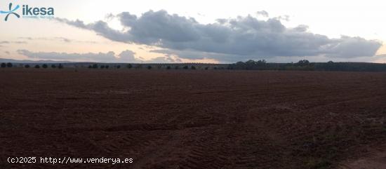 Venta de Finca Rústica en Paraje La Calera de los Barros - Badajoz - BADAJOZ