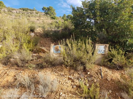 Parcela en LES MALLAES - VALENCIA