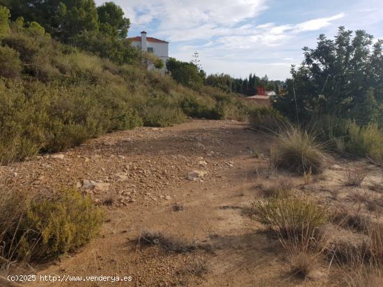 Parcela en LES MALLAES - VALENCIA