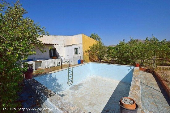 Finca en venta en Albatera (Alicante)