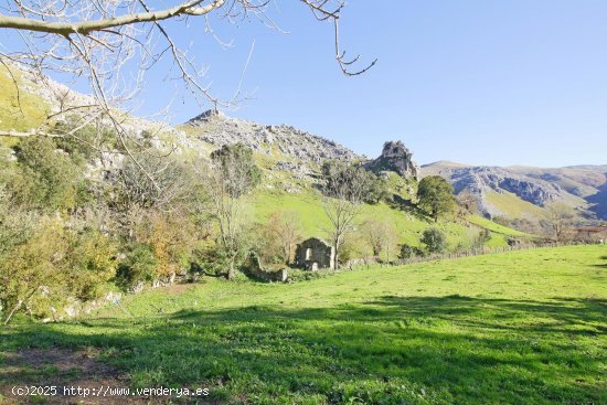 Parcela en venta en Liérganes (Cantabria)