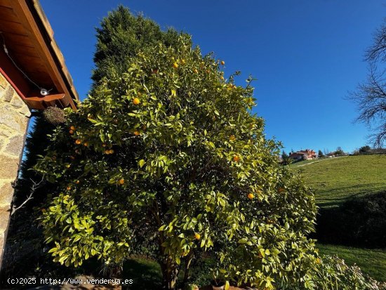 Casa en venta en Villaviciosa (Asturias)