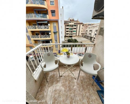 Apartamento en alquiler en Torrevieja (Alicante)