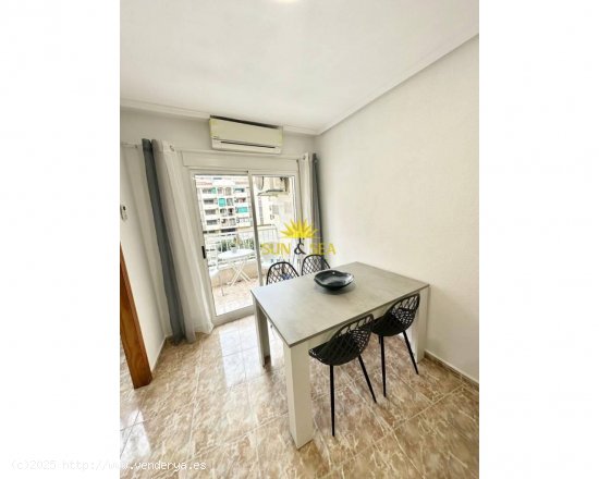 Apartamento en alquiler en Torrevieja (Alicante)