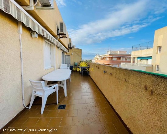 Apartamento en alquiler en Torrevieja (Alicante)