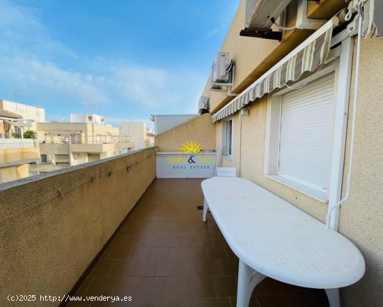 Apartamento en alquiler en Torrevieja (Alicante)