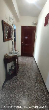 VENTA DE PISO EN ASPE (ALICANTE) - ALICANTE