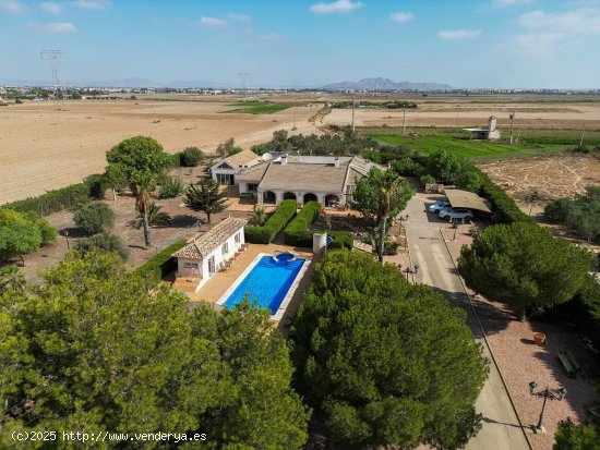  Villa en venta en Torre-Pacheco (Murcia) 