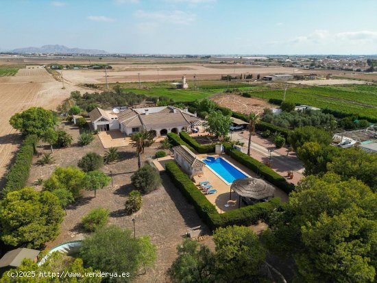 Villa en venta en Torre-Pacheco (Murcia)