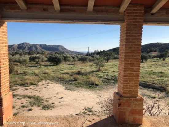 Finca en venta en Busot (Alicante)