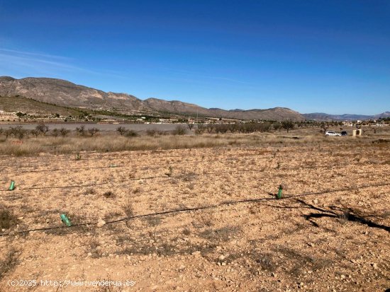 Solar en venta en Hondón de las Nieves (Alicante)