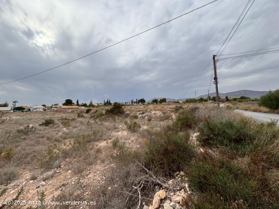  PARCELA PARA EDIFICAR UN CHALET DE 10.000M2. 60.000-€ - ALICANTE 