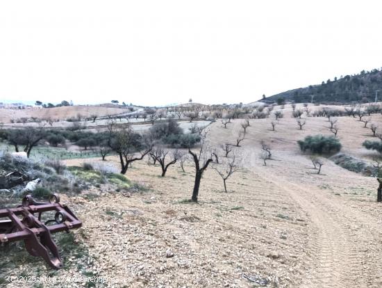 Finca en Los Jarales - MURCIA