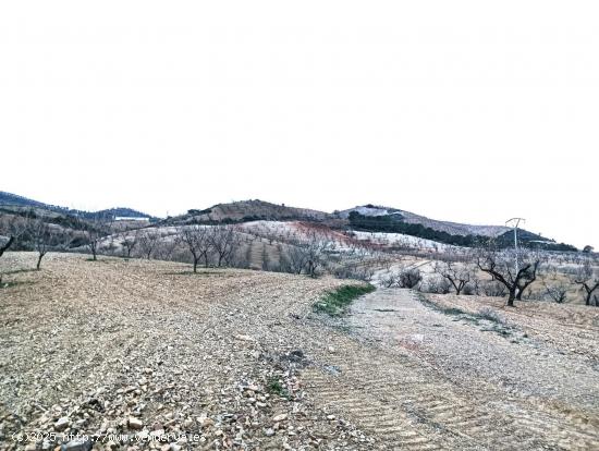 Finca en Los Jarales - MURCIA