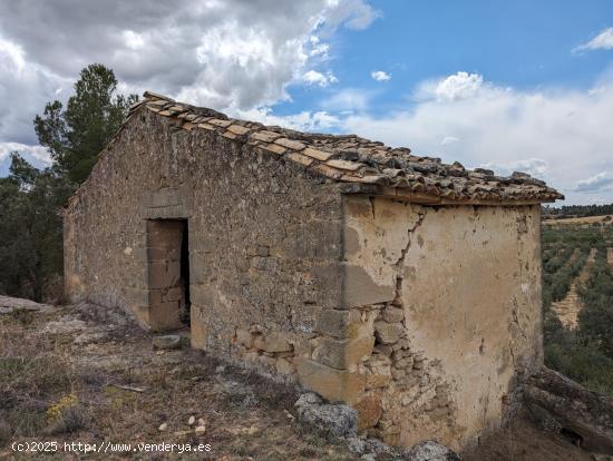 Finca con masía a reformar en Cretas - TERUEL