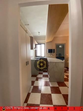 LT/EST / Apartamento de DOS dormitorios reformado en zona centro - GRANADA