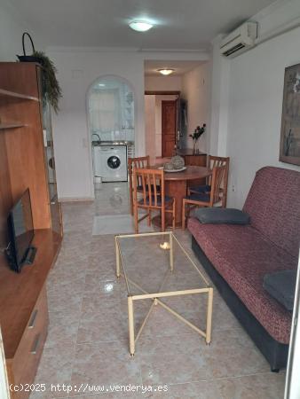 GRAN APARTAMENTO EN TORREVIEJA, 1 HAB, 1 BAÑO - ALICANTE