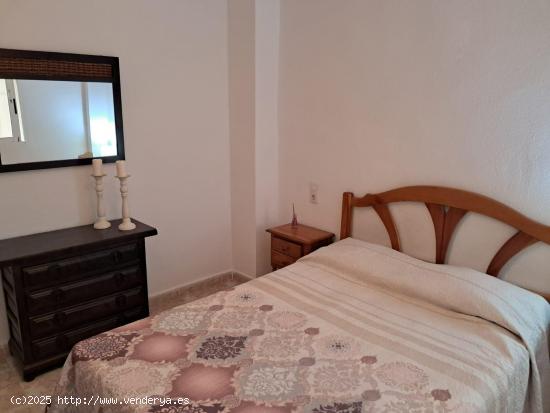 GRAN APARTAMENTO EN TORREVIEJA, 1 HAB, 1 BAÑO - ALICANTE