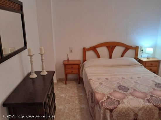 GRAN APARTAMENTO EN TORREVIEJA, 1 HAB, 1 BAÑO - ALICANTE