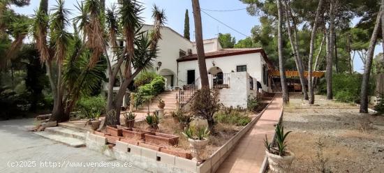 CASA EN EL VERDOLAY GRAN PARCELA - MURCIA