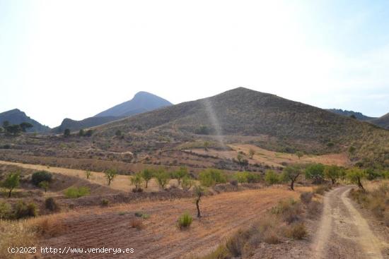  FINCA DE CULTIVO EN LA SIERRA DE ALMENARA - MURCIA 