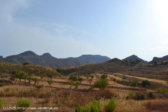 FINCA DE CULTIVO EN LA SIERRA DE ALMENARA - MURCIA