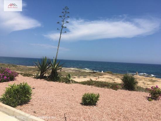 APARTAMENTO EN CALA DEL MORO TORREVIEJA - ALICANTE