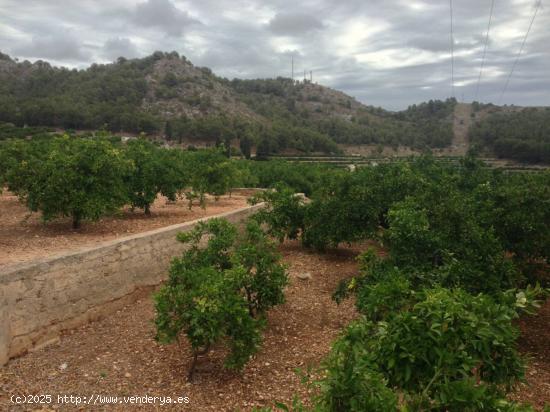 Parcela de suelo urbanizable y rustico en venta - VALENCIA