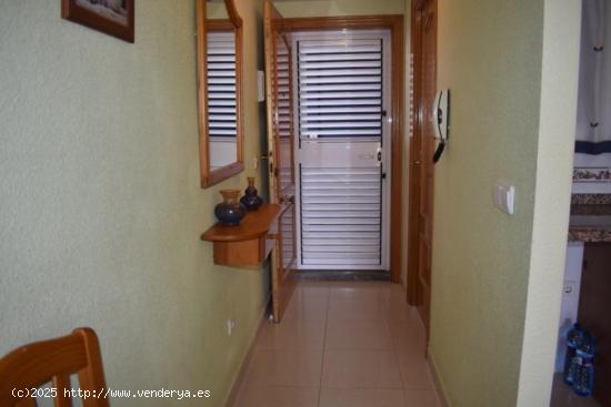 APARTAMENTO CON PISCINA - VALENCIA