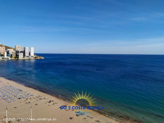 Se Vende en Benidorm - ALICANTE