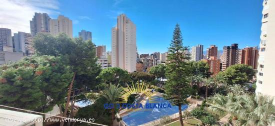 Se Vende en Benidorm - ALICANTE