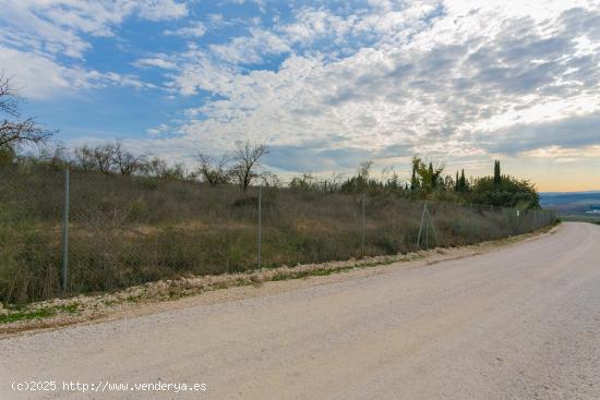  Venta de parcela en Loma del Conejo, Pinos Puente - GRANADA 