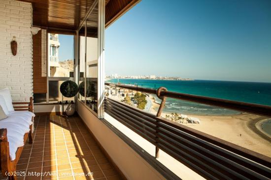 Estupenda vivienda con excelentes calidades en primera línea de Playa. - ALICANTE