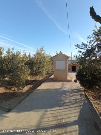 Casa de campo  con pozo propio y con piscina - ALICANTE