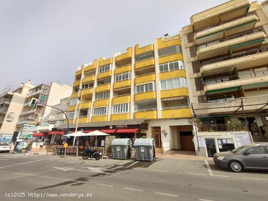 APARTAMENTO DE 3 DORMITORIOS 2 BAÑOS EN TORREVIJA (ALICANTE) CON VISTAS AL MAR - ALICANTE