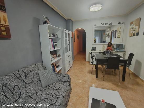 APARTAMENTO EN TORREVIEJA DE 3 DORMITORIOS 2 BAÑOS - ALICANTE