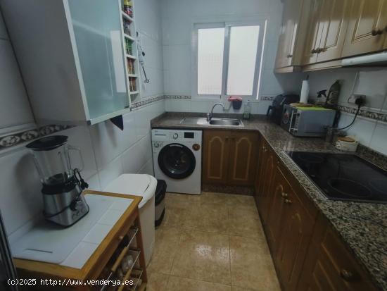 APARTAMENTO EN TORREVIEJA DE 3 DORMITORIOS 2 BAÑOS - ALICANTE