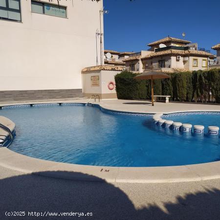 APARTAMENTO DE 2 DORMITORIOS 1 BAÑO EN LA ZANIA (ORIHUELA COSTA) - ALICANTE