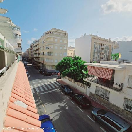 ATICO DE 2 DORMITORIOS 1 BAÑO EN PLAYA DE LOS LOCOS EN TORREVIEJA ( ALICANTE) - ALICANTE